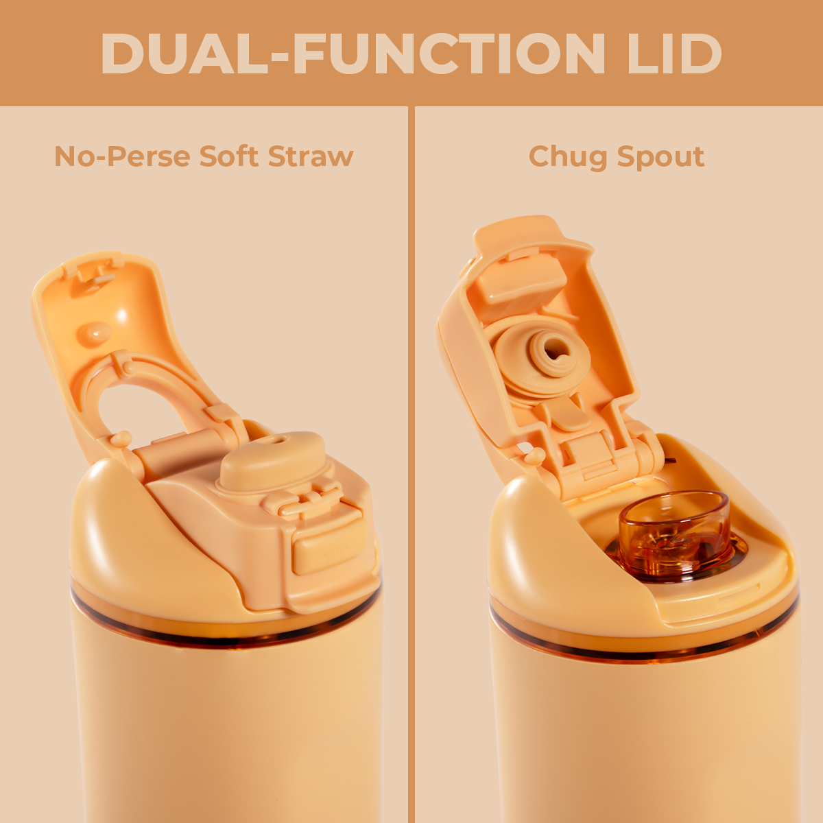 marigold-d0 Ease32-Marigold-WPI-5.png